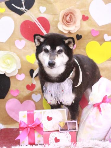 20230228ひめちゃん